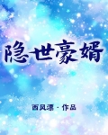 隐世豪婿12集