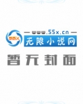 超级边锋 农夫小说