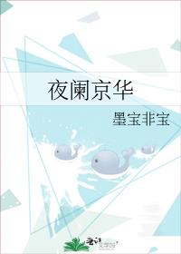 夜阑京华墨宝非宝讲的什么