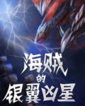 海贼的银翼凶星