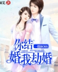 你结婚我劫婚全文免费阅读