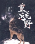 重返荒野动画电影