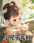 电视剧小子