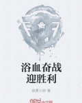 浴血奋战迎胜利 小说