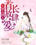 军婚太缠人:首长,放肆爱