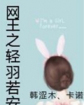 网王之轻羽若安2