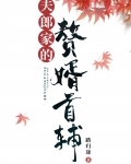 夫郎家的赘婿首辅
