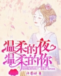 温柔的夜 歌词