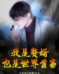 我是赘婿 小说