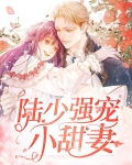 强势宠婚陆少实力撩妻