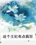 这个王妃有点悍免费
