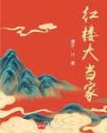 红楼大当家小说阅读