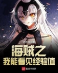 海贼之我能看见经验值