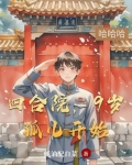四合院一大爷养子