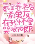 氪金养老后前男友在我怀里哭唧唧