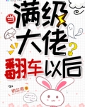 当满级大佬翻车以后漫画