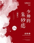 少帅的朱砂痣全文免费阅读无错章