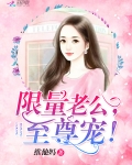 限量老公，至尊宠！