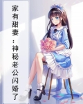 《家有萌妻:闪婚神秘老公》