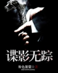 谍影无踪TXT