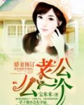 娇妻预订:老公,么一个