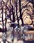 四合院家有三小只笔趣阁