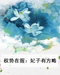 权势全文阅读