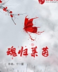 魂归莱茵维尔纳喜欢女主吗