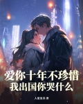 爱你十年不珍惜我出国你哭什么