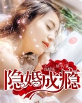 隐婚成瘾:总裁宠妻无下限 小说