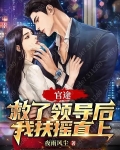 官途:救了领导后我扶摇直上笔趣阁