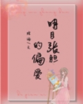 明目张胆的偏爱