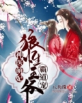 神医萌妃:狼性王爷霸道宠免费阅读