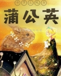 穿越斗罗之风