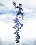 武魂圣皇凌宇小说