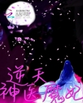 逆天神医魔妃