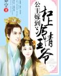 公主嫁到：杠上冷情王爷