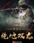 亮剑之绝地双龙电影