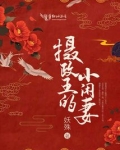 摄政王的小闲妻