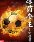足球天才