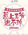 王妃她很凶