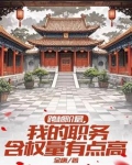 抱紧美女书记的大腿,我青云直上
