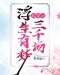 综穿之浮生有梦三千场