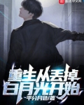 重生从丢掉白月光开始小说