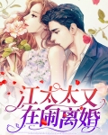 顾总太太又在闹离婚电视剧
