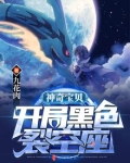 神奇宝贝:开局黑色裂空座