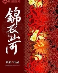 锦衣山河讲的什么内容
