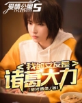 爱情公寓5:我的女友是诸葛大力! 小说