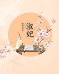 淑妃txt