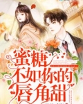 蜜糖不如你甜美